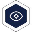 Our Vision Icon